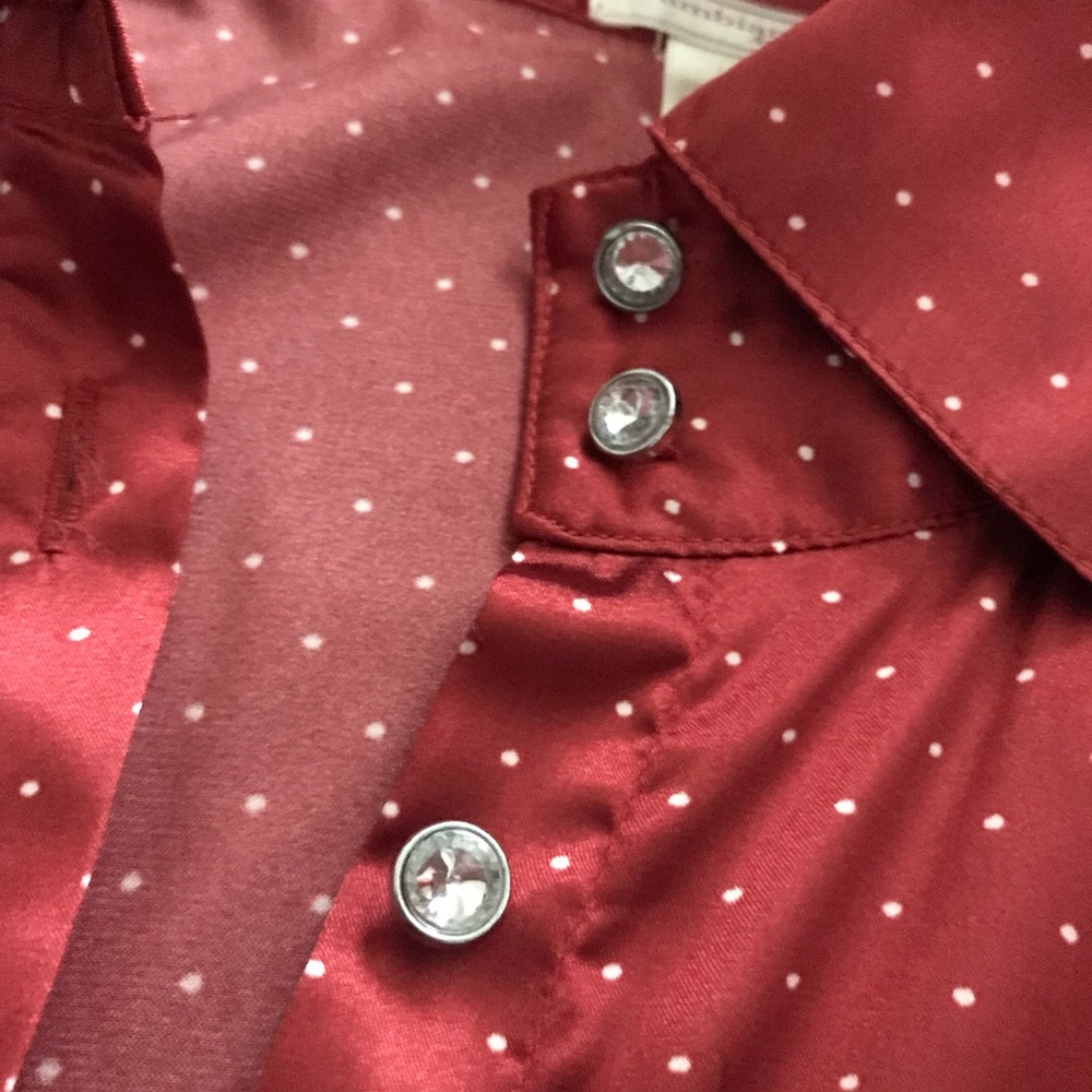 Red Satin Button-Up Blouse - Picture 8 of 9